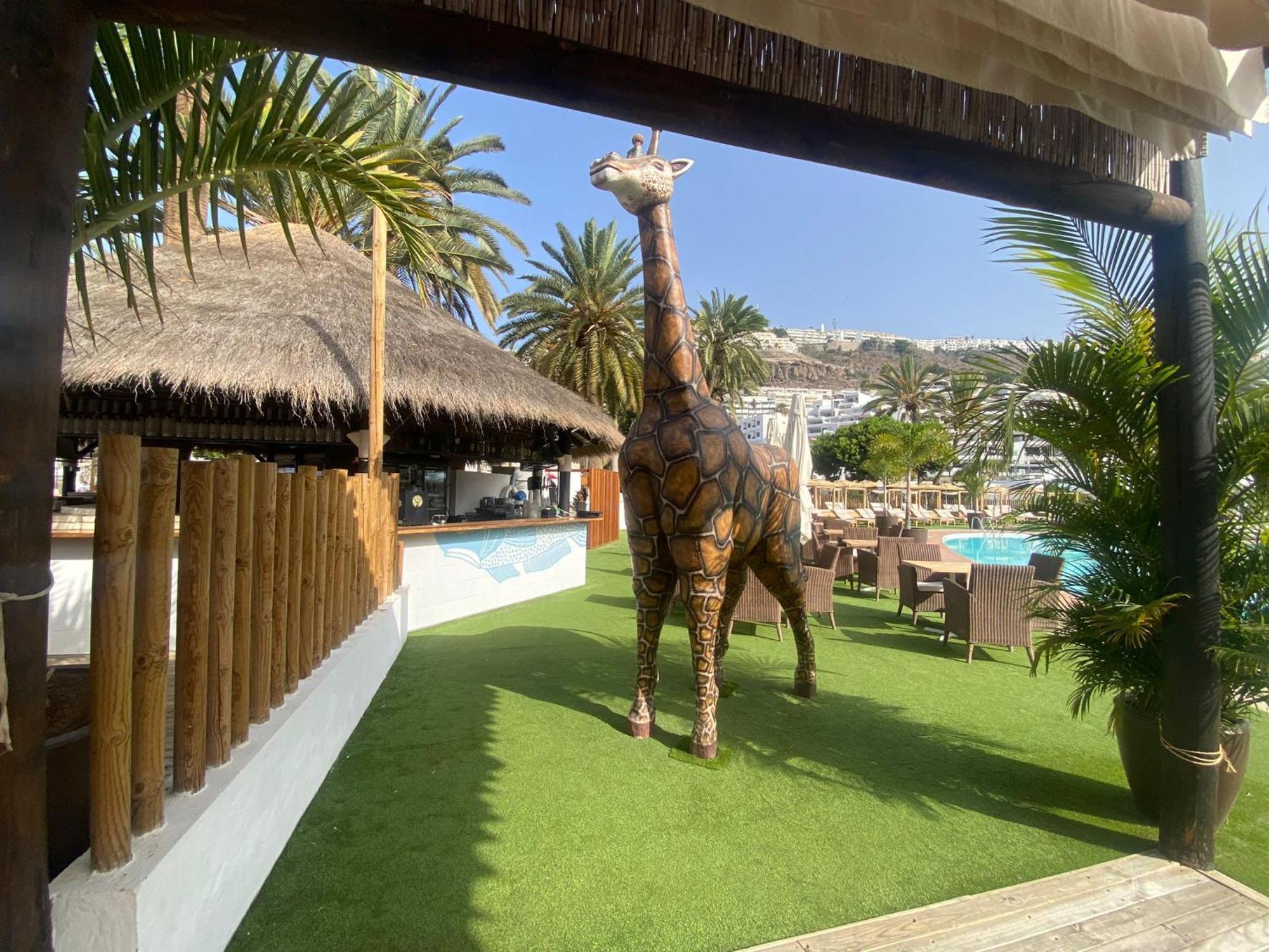 Cozy Modern House, In A Complex With A Swimming Pool Apartment Puerto Rico  Ngoại thất bức ảnh