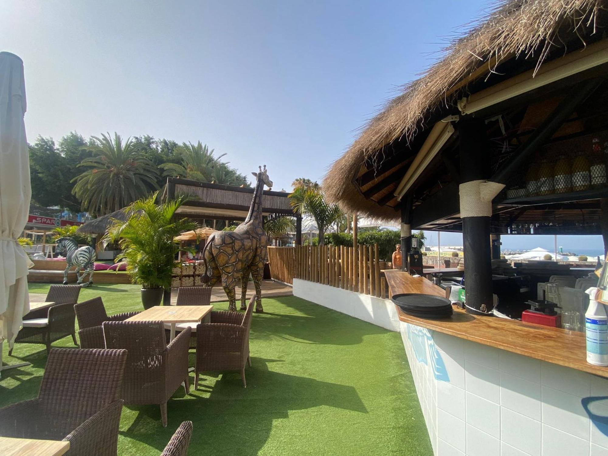 Cozy Modern House, In A Complex With A Swimming Pool Apartment Puerto Rico  Ngoại thất bức ảnh